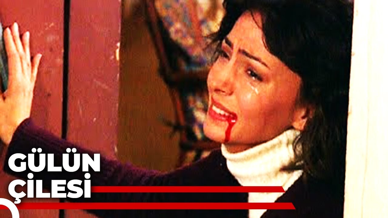 Gülün Çilesi