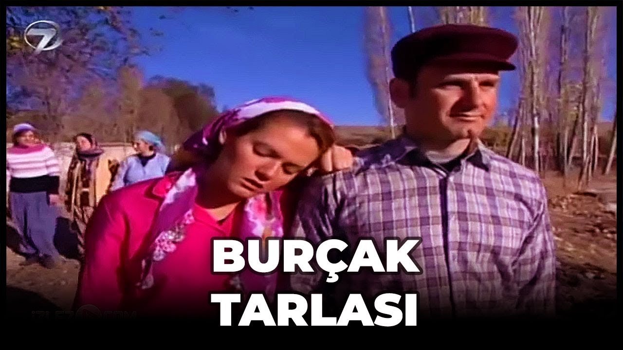 Burçak Tarlası