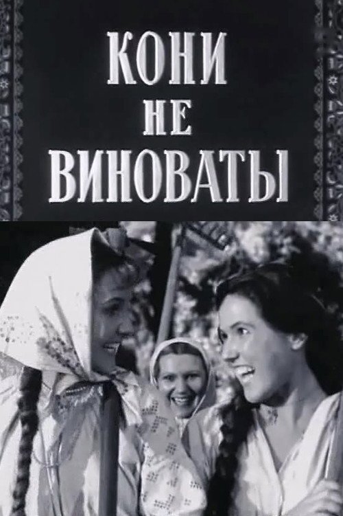 Кони не виноваты