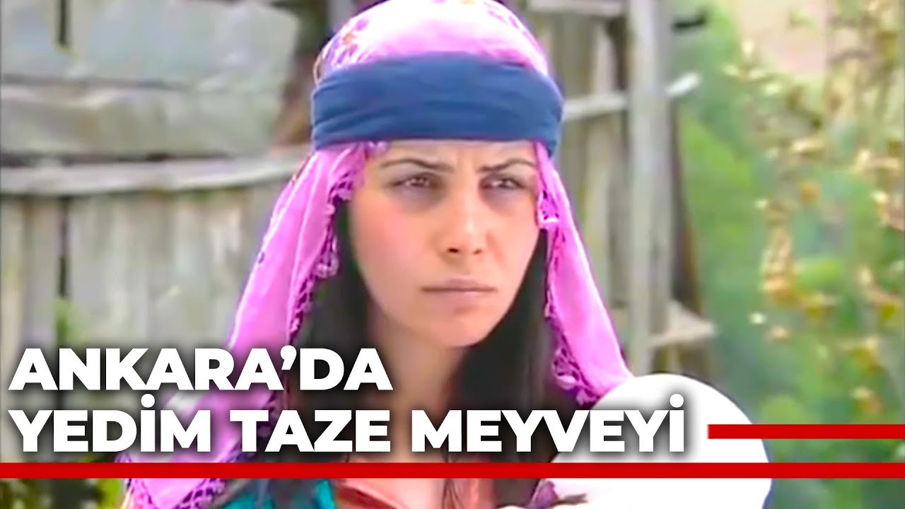 Ankara'da Yedim Taze Meyveyi
