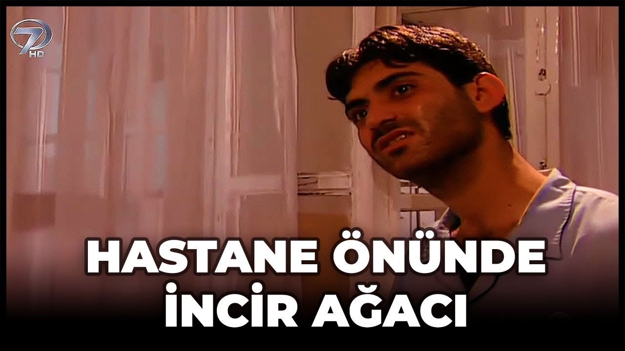 Hastane Önünde İncir Ağacı