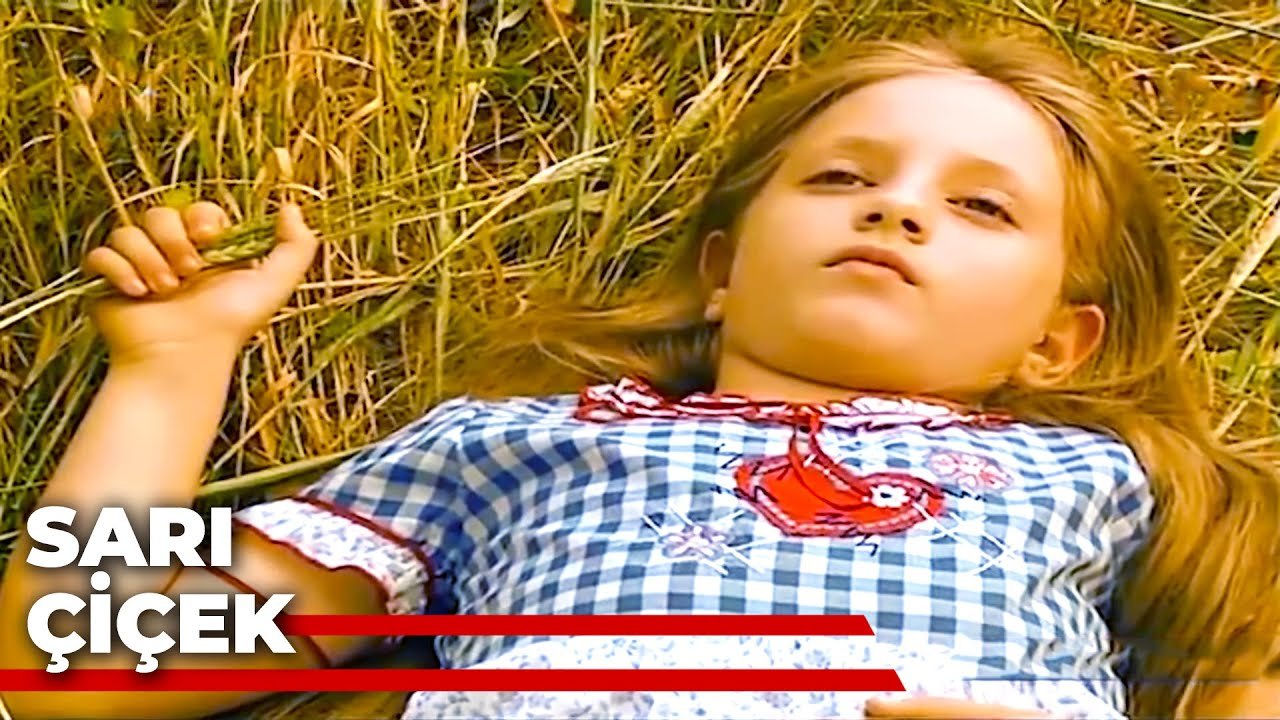 Sarı Çiçek