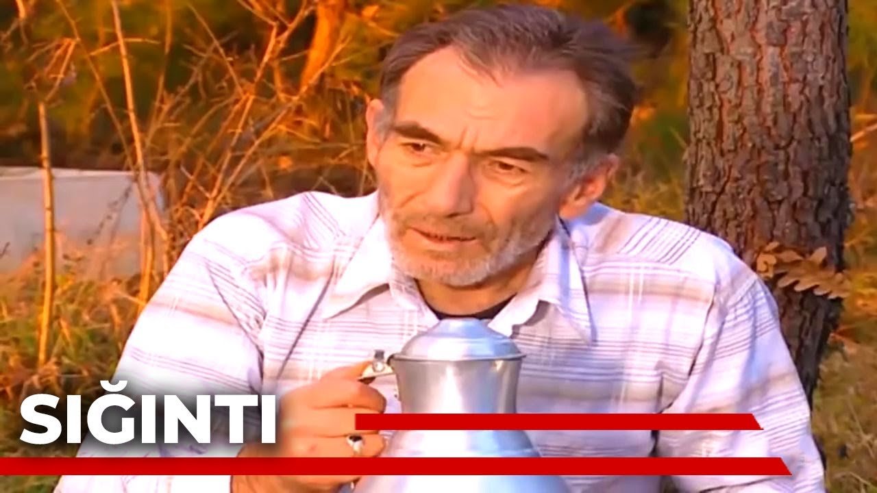 Sığıntı