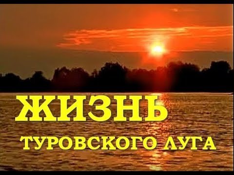 Жизнь Туровского луга