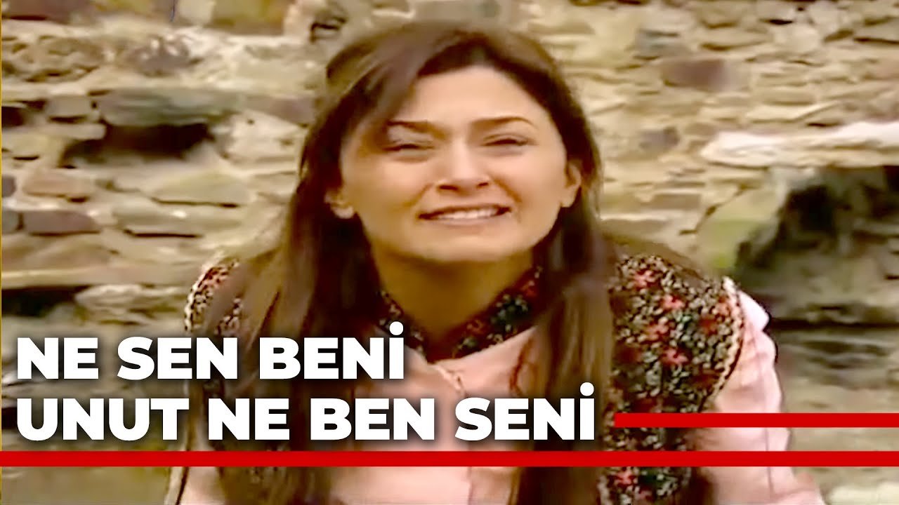 Ne Sen Beni Unut Ne De Ben Seni
