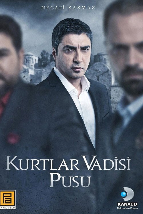 Kurtlar Vadisi Pusu