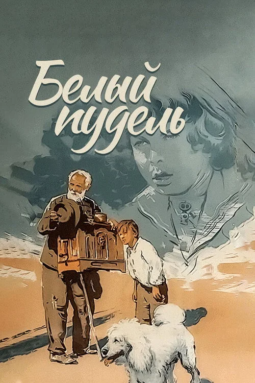 Белый пудель
