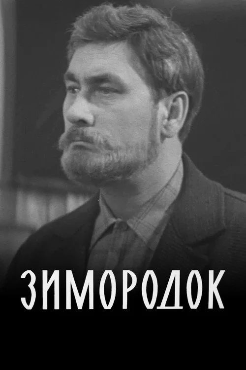ЗИМОРОДОК