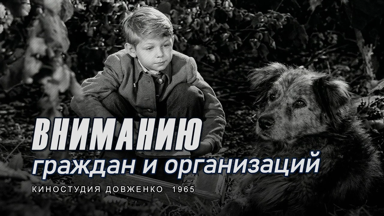 Вниманию граждан и организаций
