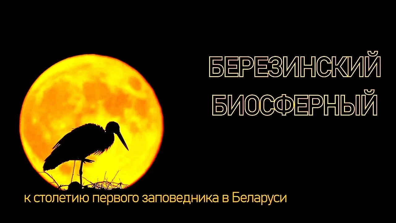 БЕРЕЗИНСКИЙ БИОСФЕРНЫЙ