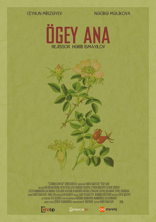 Ögey ana