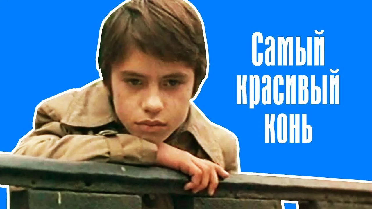 Самый красивый конь