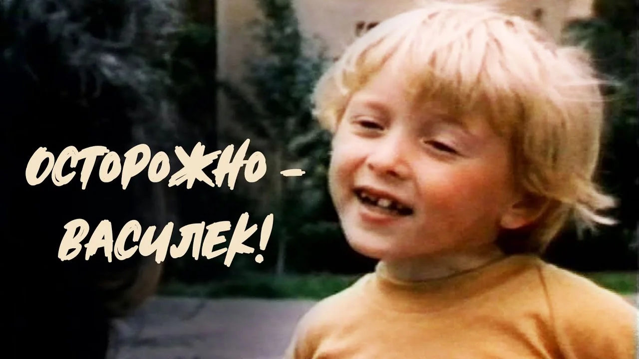 Осторожно - Василек!
