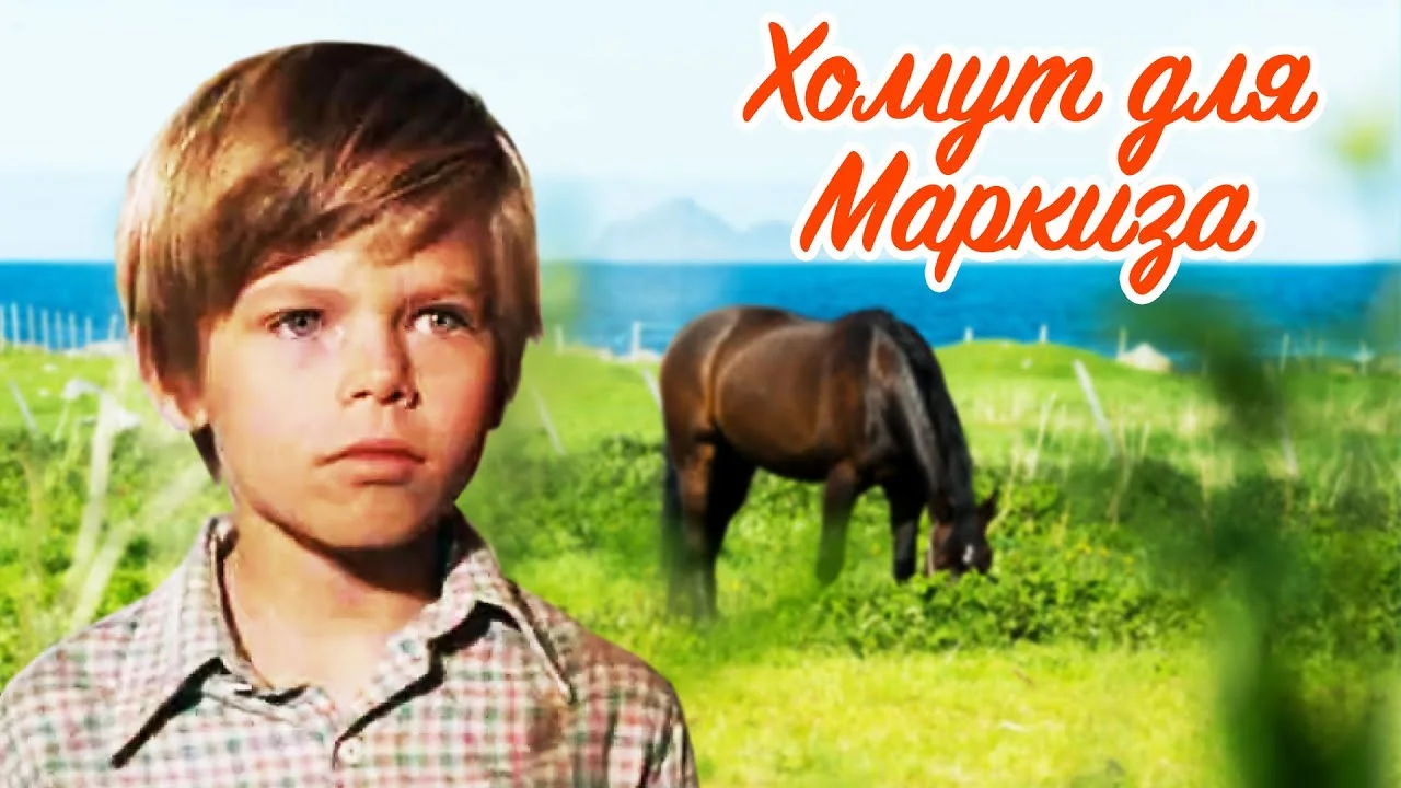 Хомут для маркиза