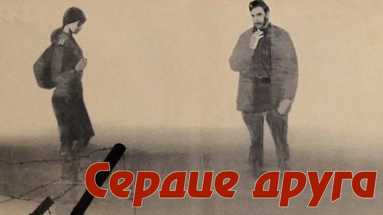 Сердце друга
