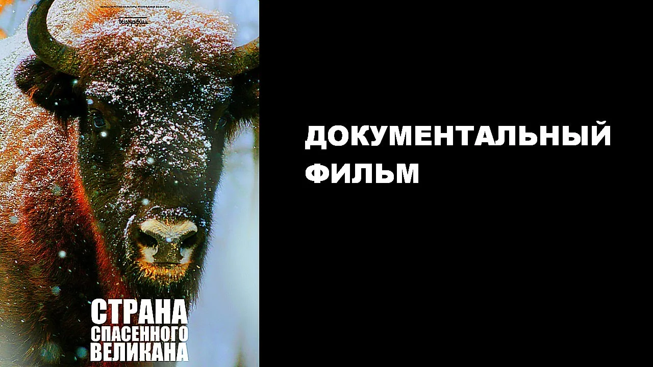 СТРАНА СПАСЕННОГО ВЕЛИКАНА