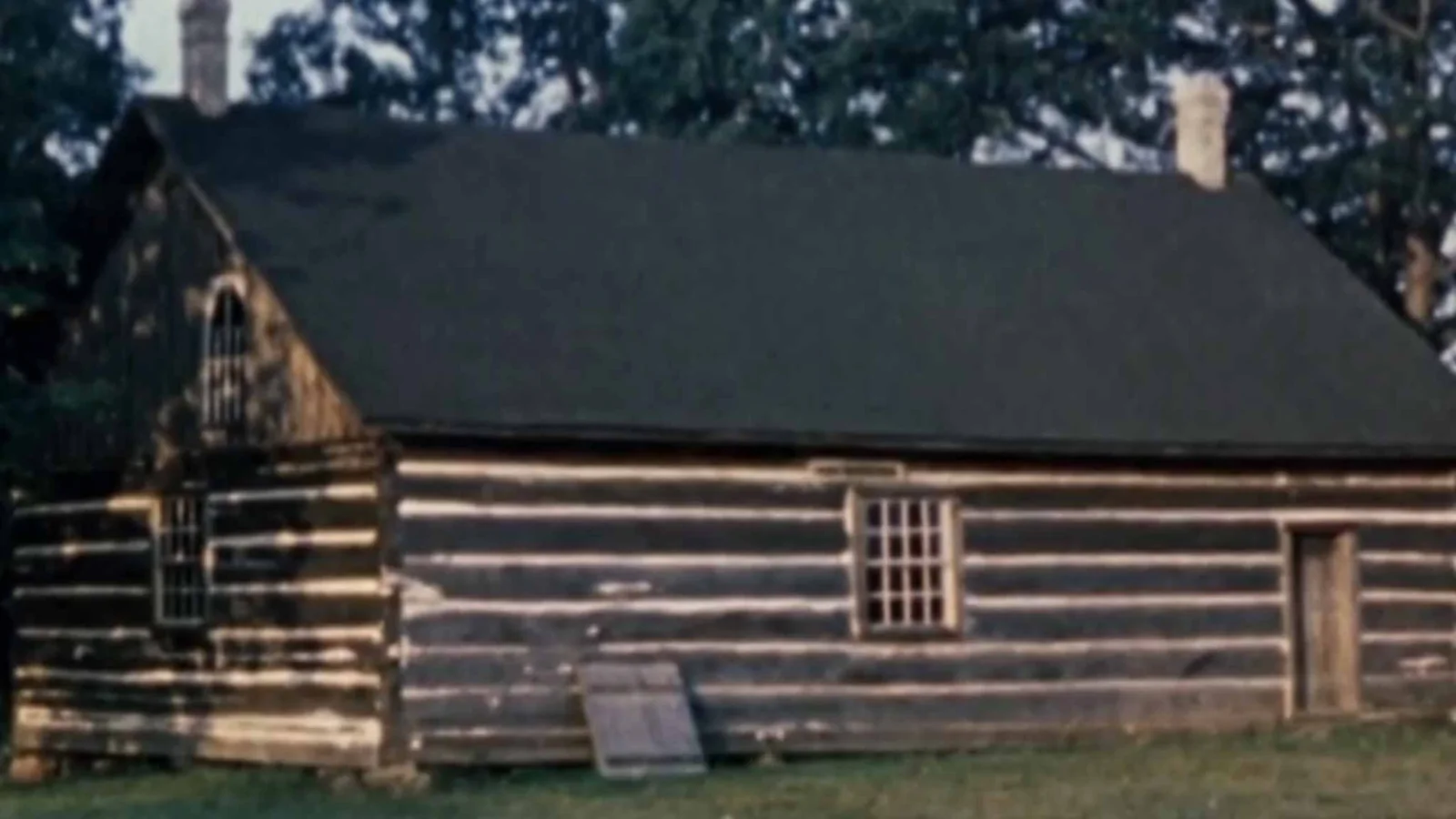 The Longhouse People