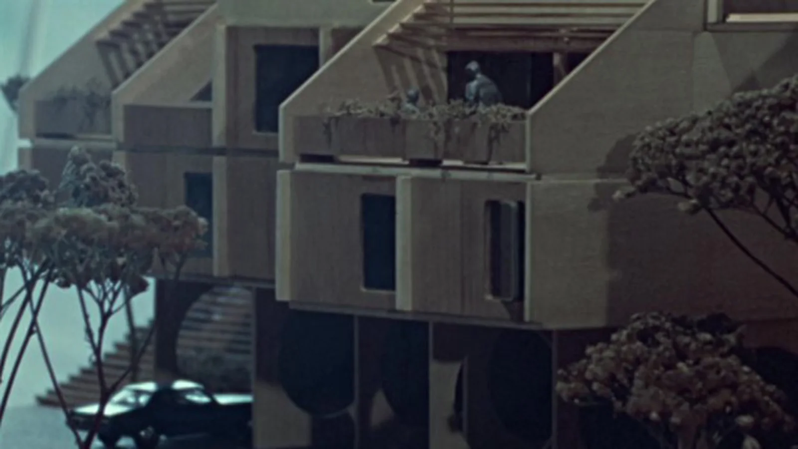 The Coldspring Project