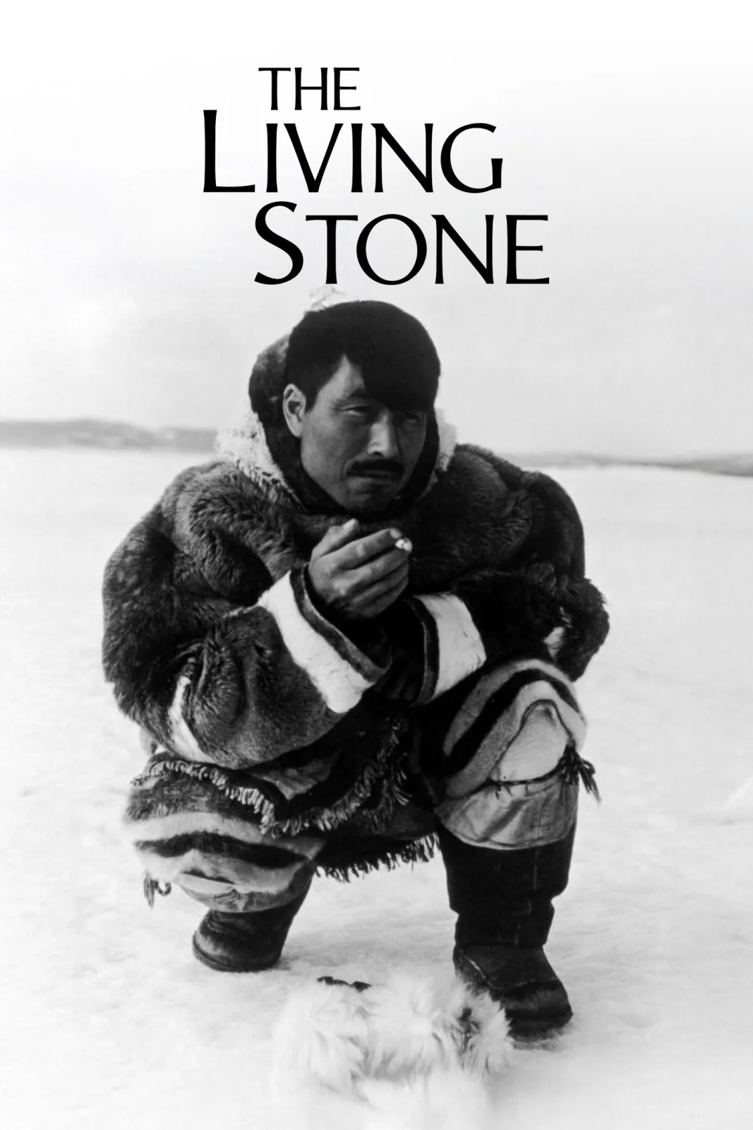 The Living Stone