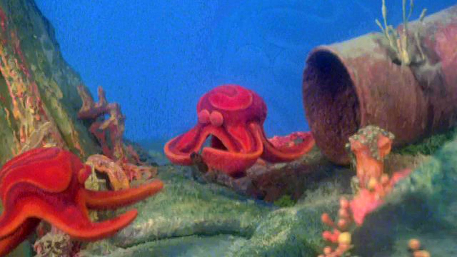The Treasure of the Grotoceans