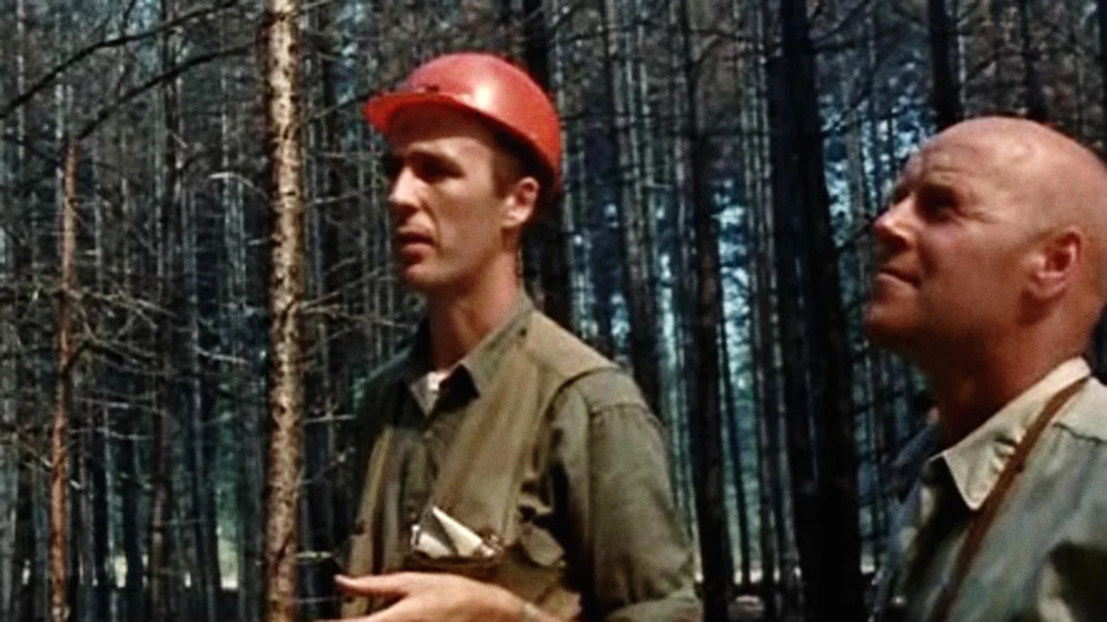 Foresters
