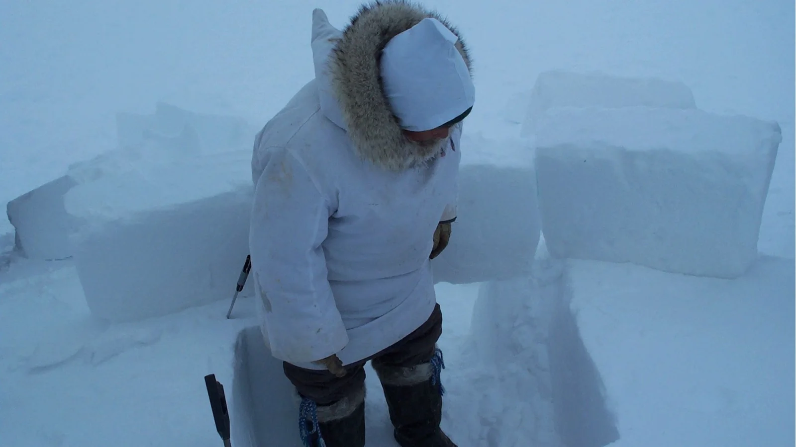 Inuuvunga - I Am Inuk, I Am Alive