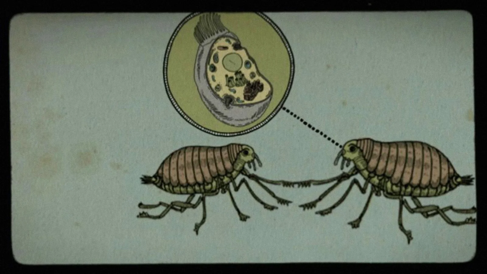 Biology Made Un-easy