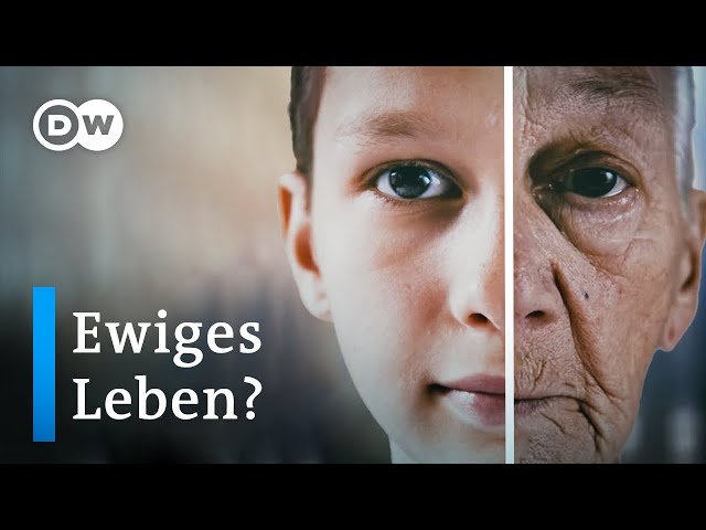 Wie wir den Code des Alterns knacken