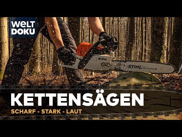 STIHL - KETTENSÄGEN IM EINSATZ - scharf, stark und laut | HD Timber