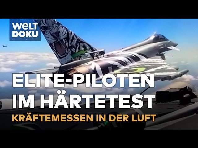 NATO TIGER MEET: Kräftemessen in der Luft! Handverlesene Helden der Luftwaffe