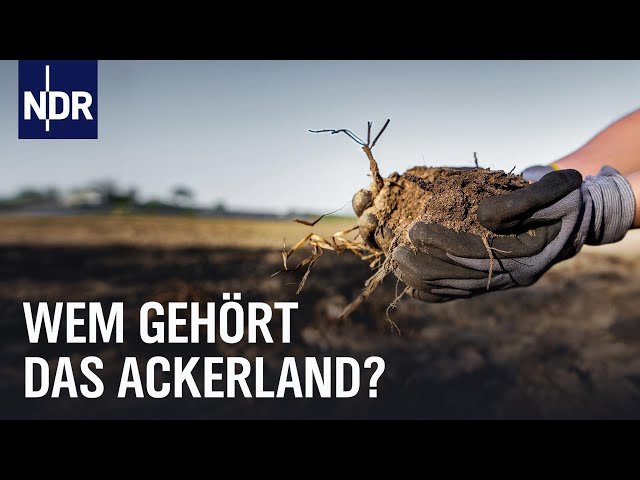 Ackerland als Kapitalanlage: Für Landwirte bald unbezahlbar?